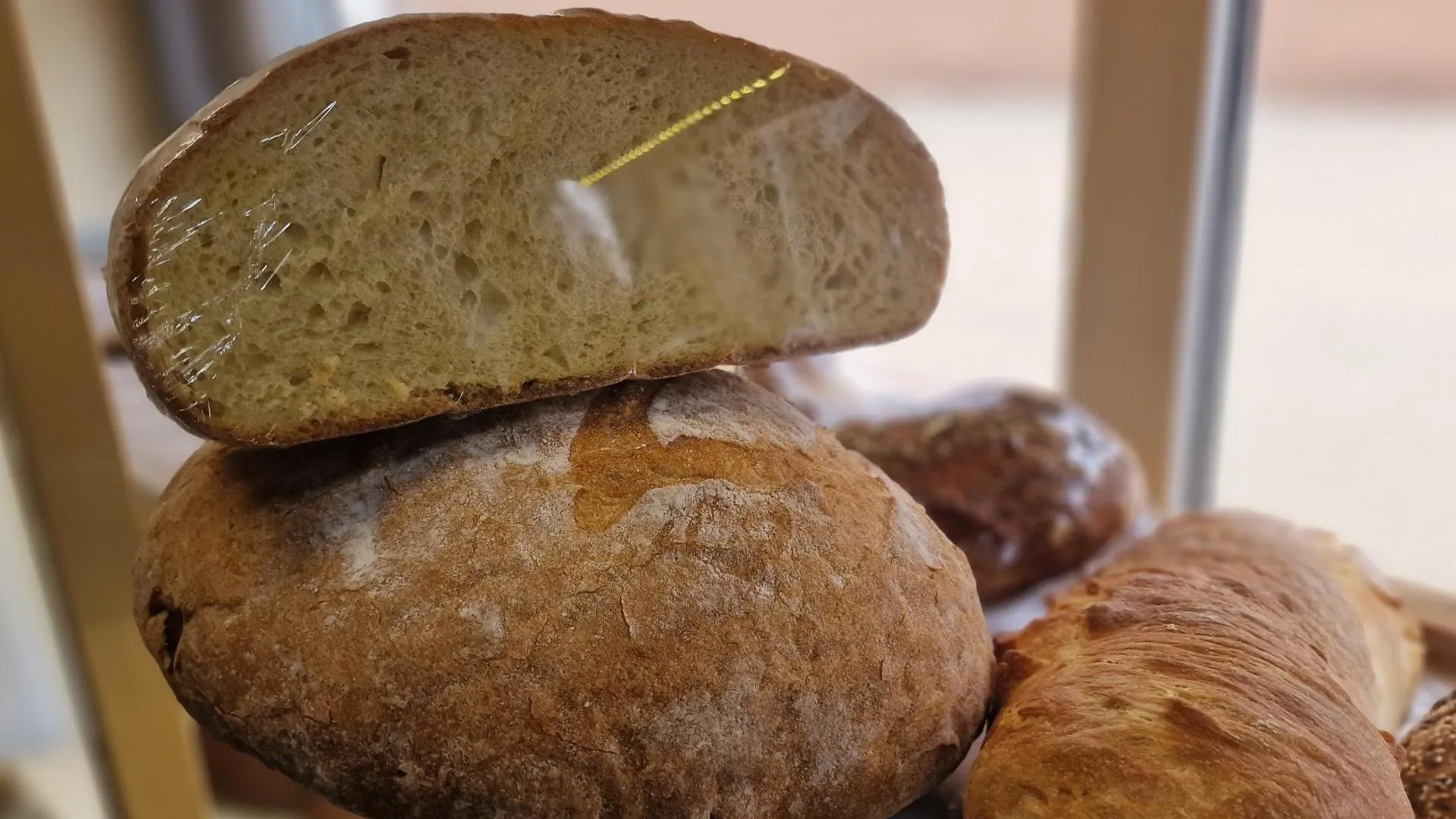 REGIONS/Ольга Шаронова