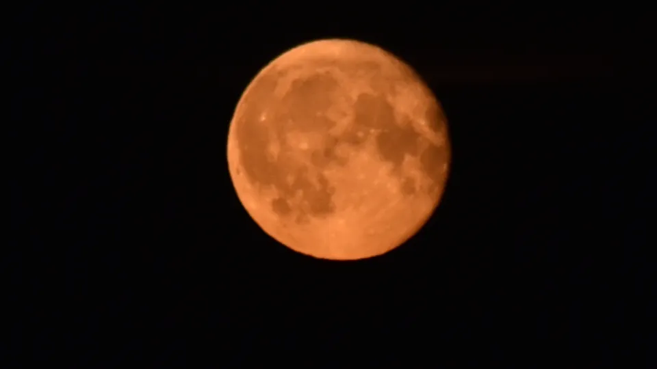 Фото: МедиаБанк Подмосковья/Галина Добрынина