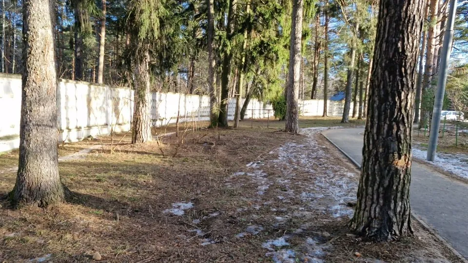 Фото: администрация Одинцовского городского округа