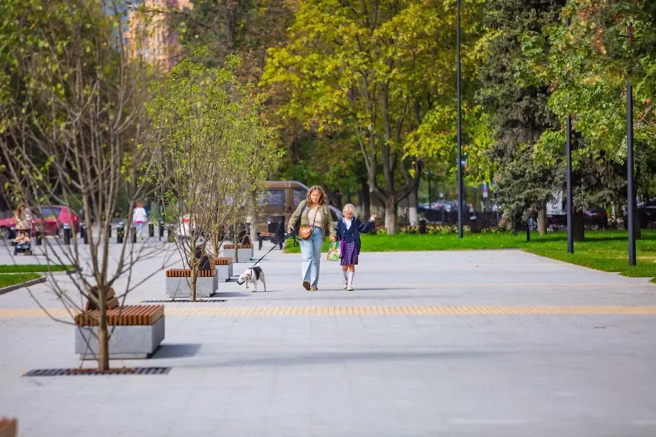 REGIONS/Анастасия Широкая