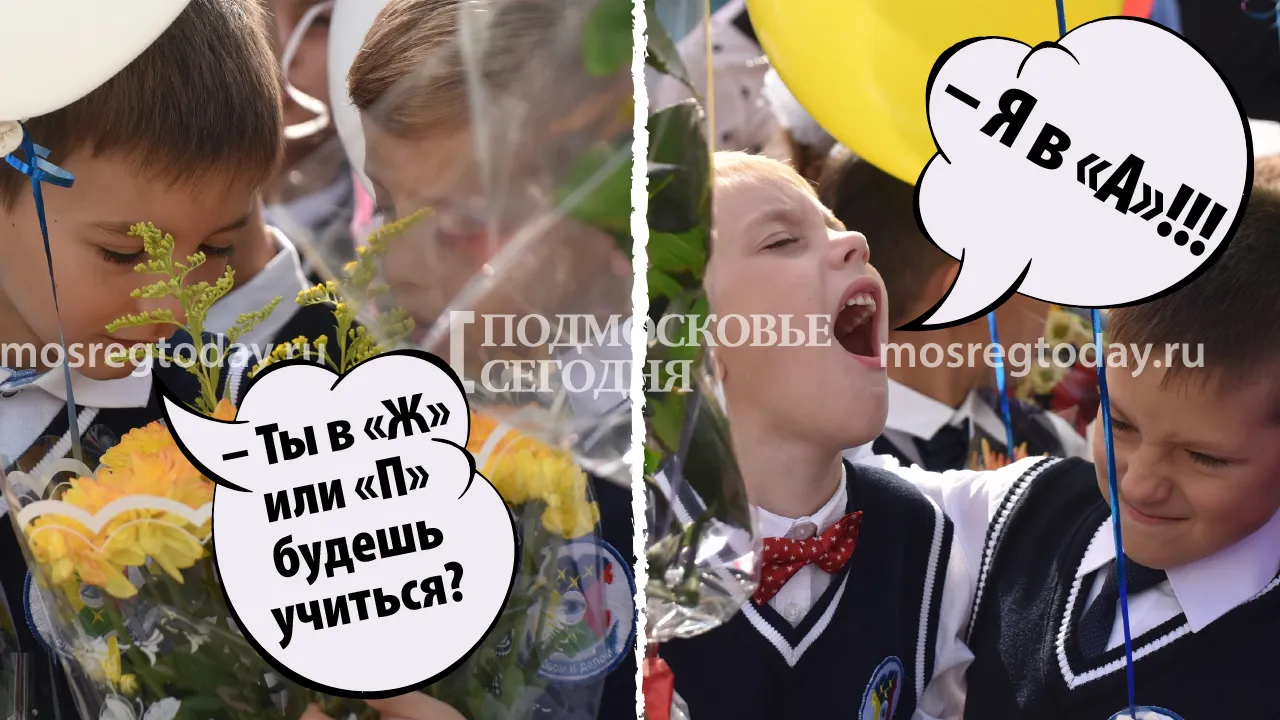 Фото: Денис Трудников, коллаж: Андрей Можанов | «Подмосковье сегодня»