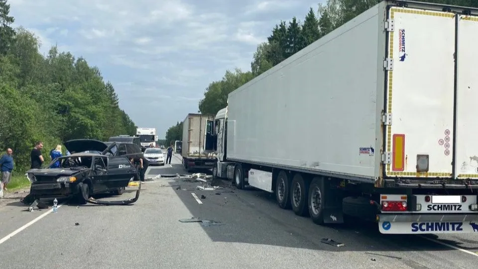 Фото: t.me/gumvd50