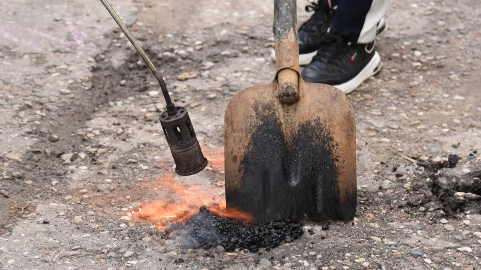 Фото: МедиаБанк Подмосковья/Владимир Останин