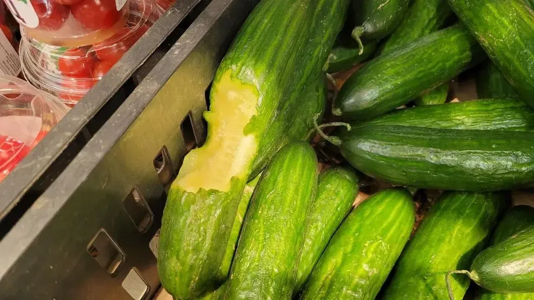 REGIONS/Юлия Григорьева