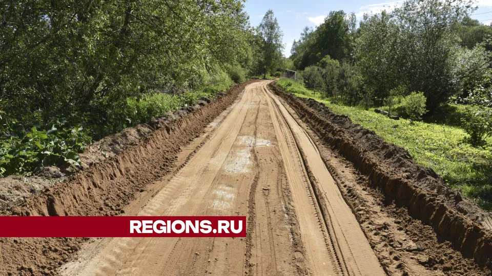 Фото: Владимир Останин