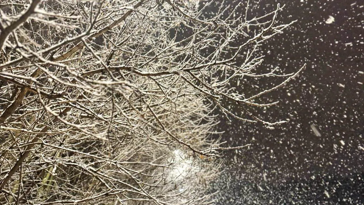 REGIONS/Евгения Макаренко