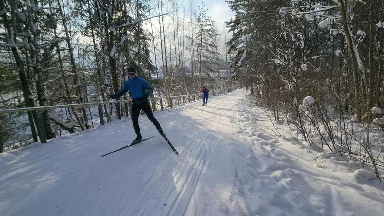 МедиаБанк Подмосковья/Валерия Исаева