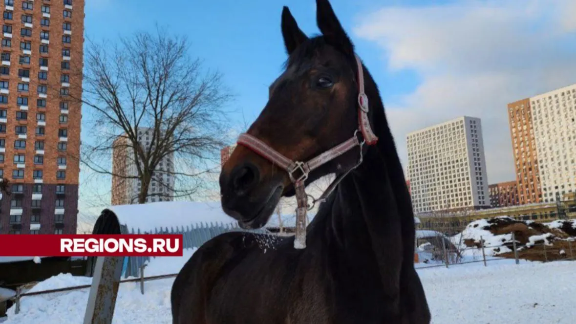 Наталья Лымарь