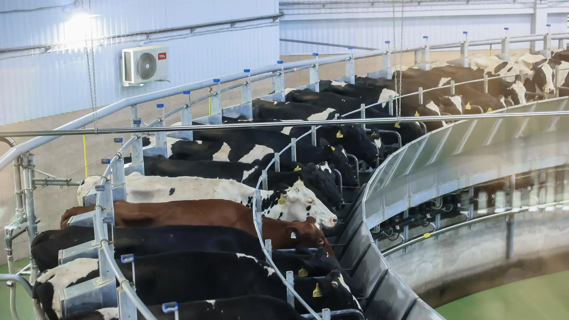 Медиасток.РФ