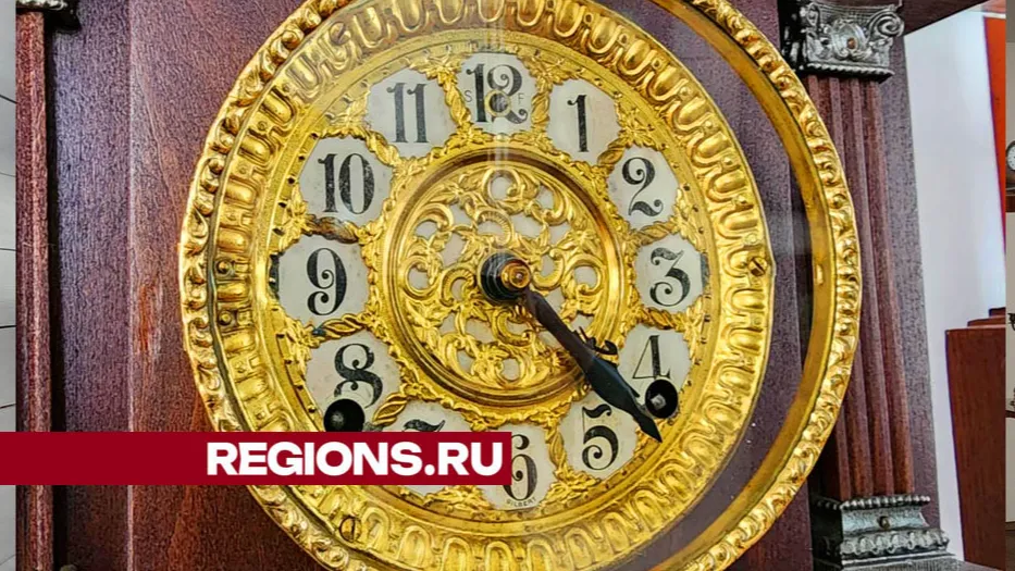 Фото: Валерия Тингаева