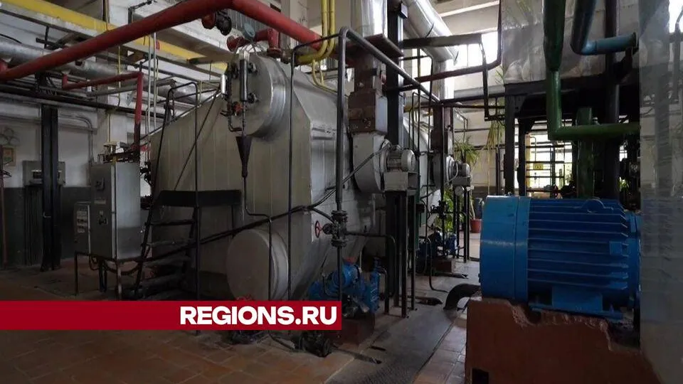 Фото: Ольга Сычева