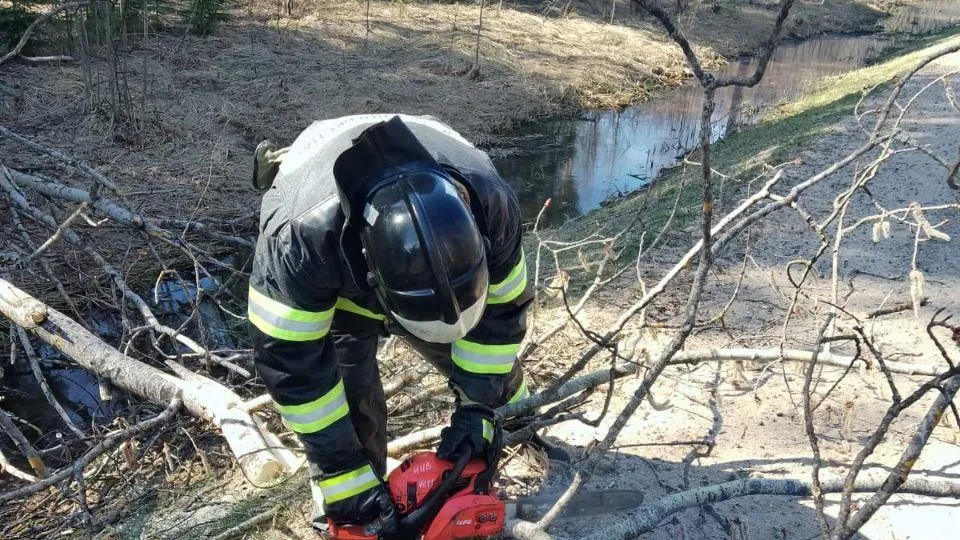 Фото: t.me/gku_mo_mosoblpojspas