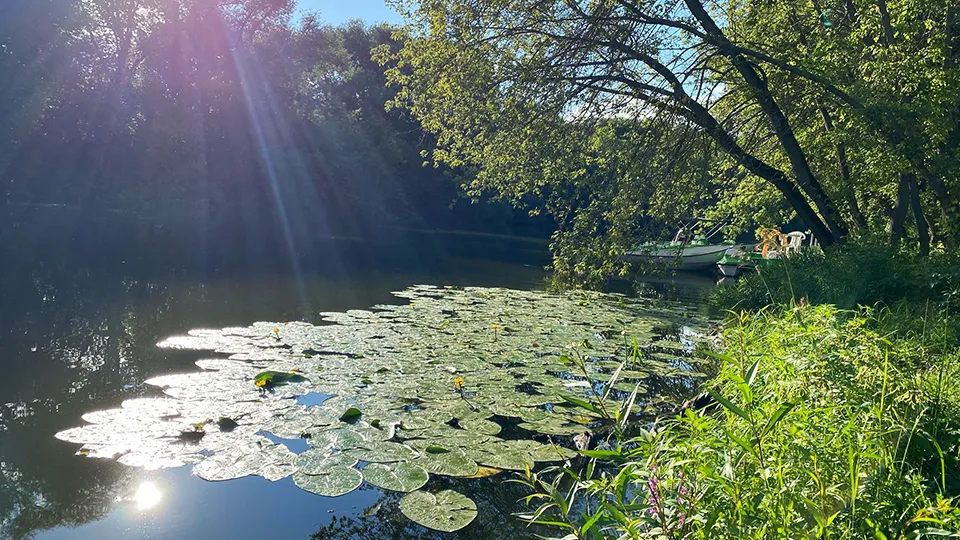Фото: пресс-служба Администрации г.о. Серпухов