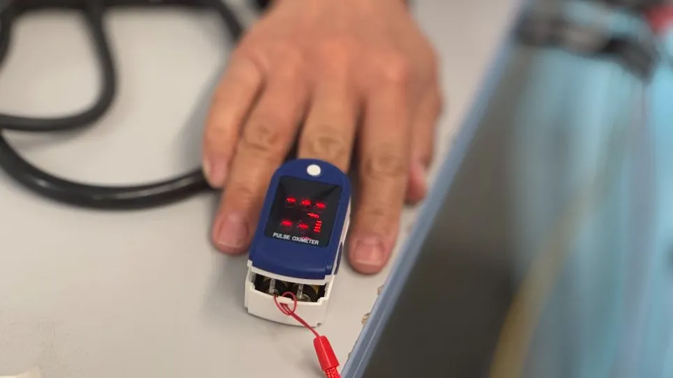 Фото: МедиаБанк Подмосковья/Анна Фортуна