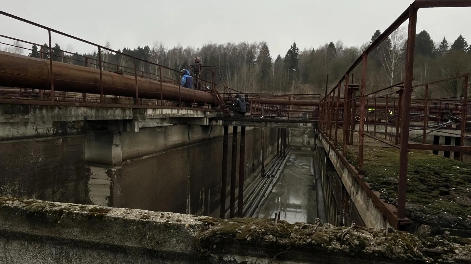 Фото: Анна Тюрюмина