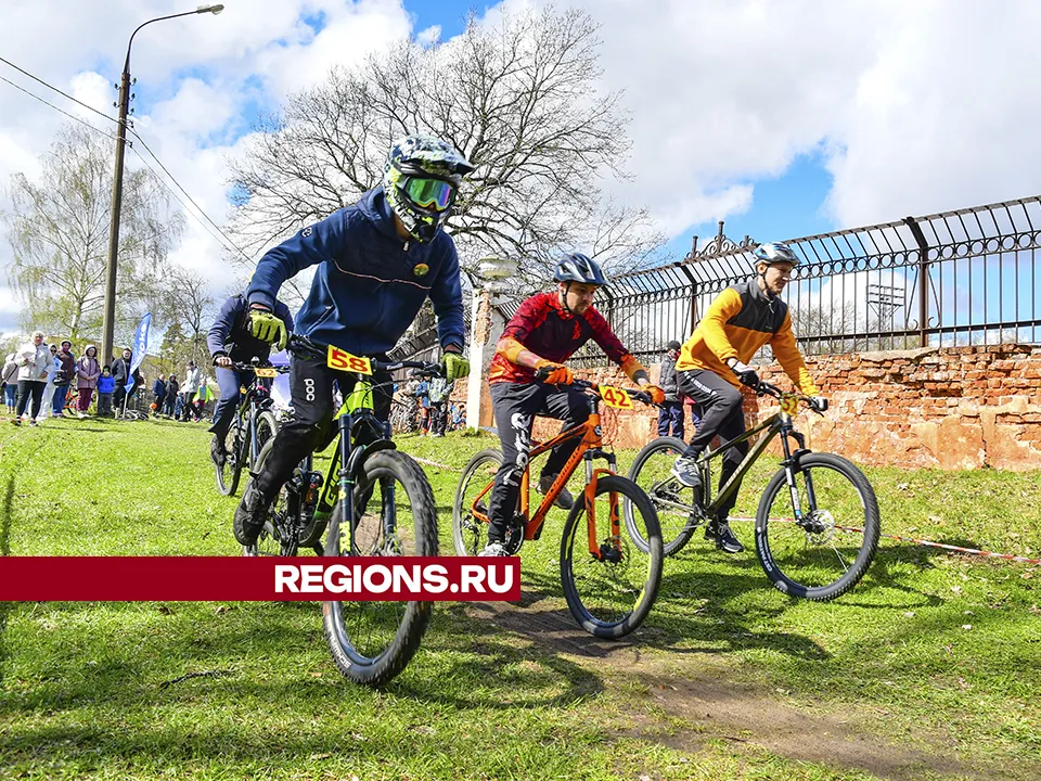 Фото: REGIONS/Наталья Бычкова