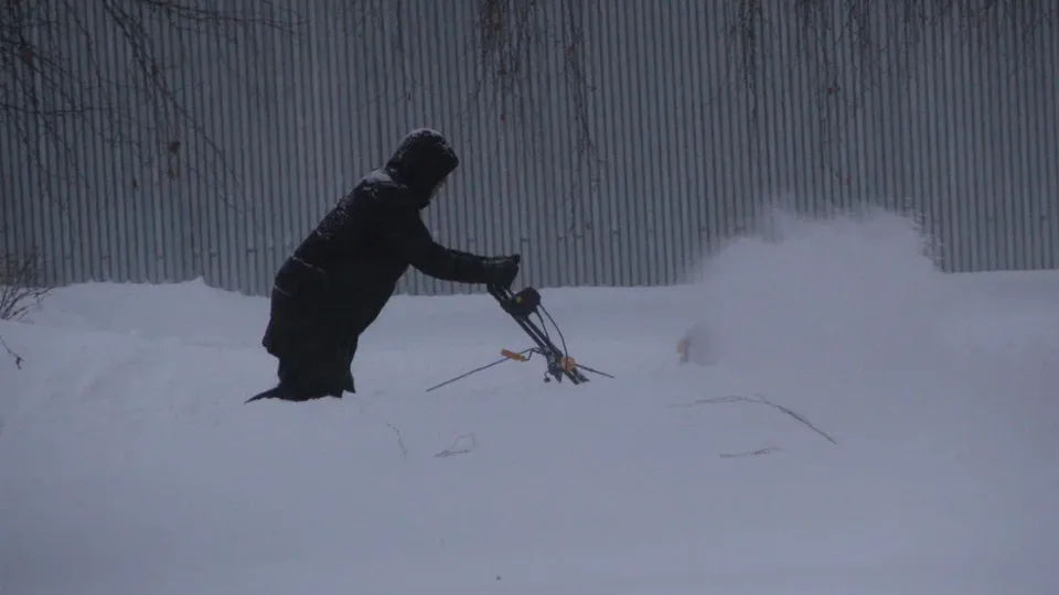 Фото: REGIONS/Василий Тремасов