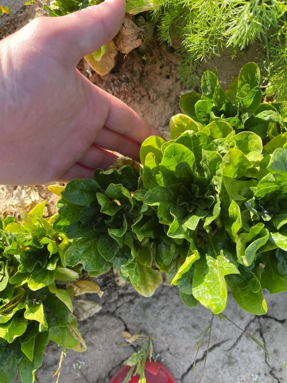 Фото: Андрей Семибратов