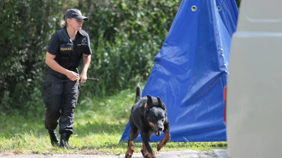 Фото: пресс-служба ГУ МЧС России по Московской области