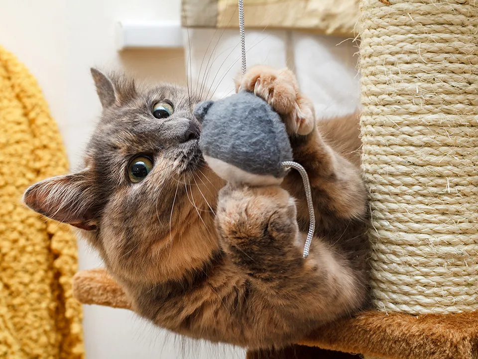 Фото: istockphoto.com/Socreative