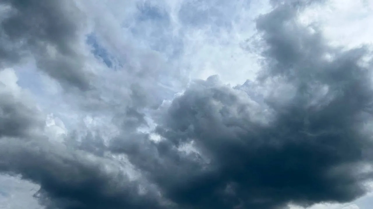 Фото: REGIONS/Елена Фурман