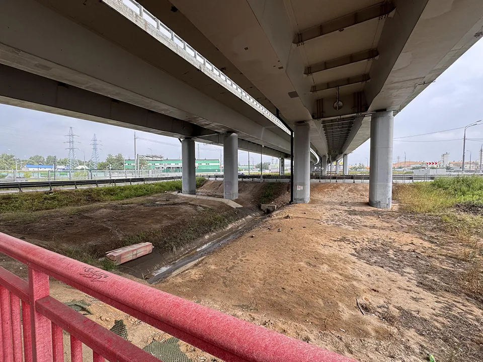 Фото: REGIONS/Мария Шматкова