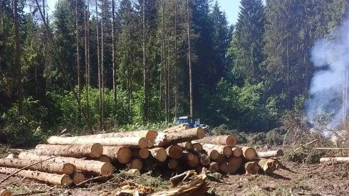 Пресс-служба администрации муниципального округа Истра