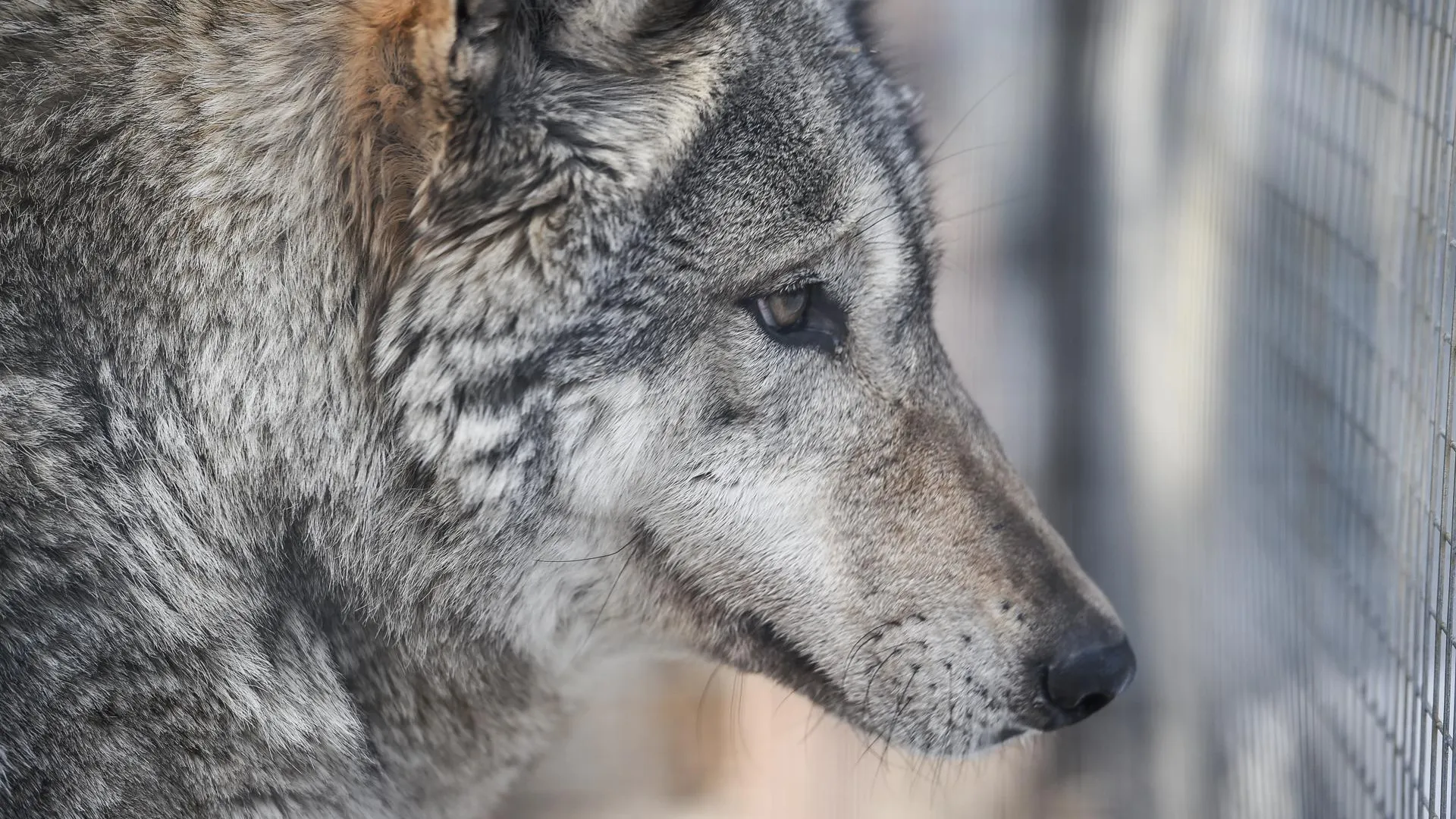 медиасток.рф