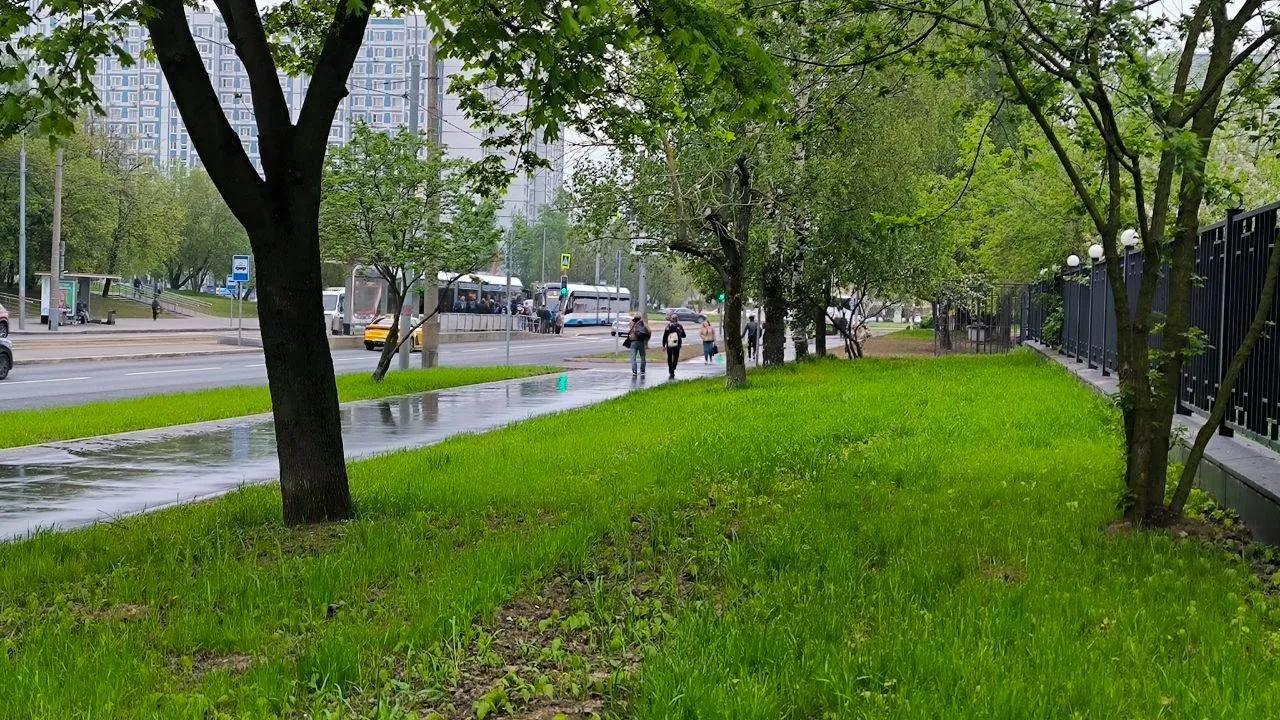 «Вот такая арифметика»: специалист метеоцентра «Фобос» опроверг информацию о побитом максимуме осадков в Москве