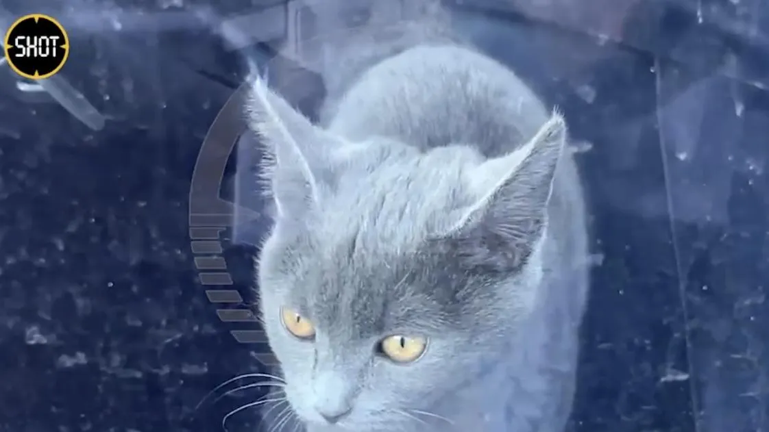 Фото: социальные сети