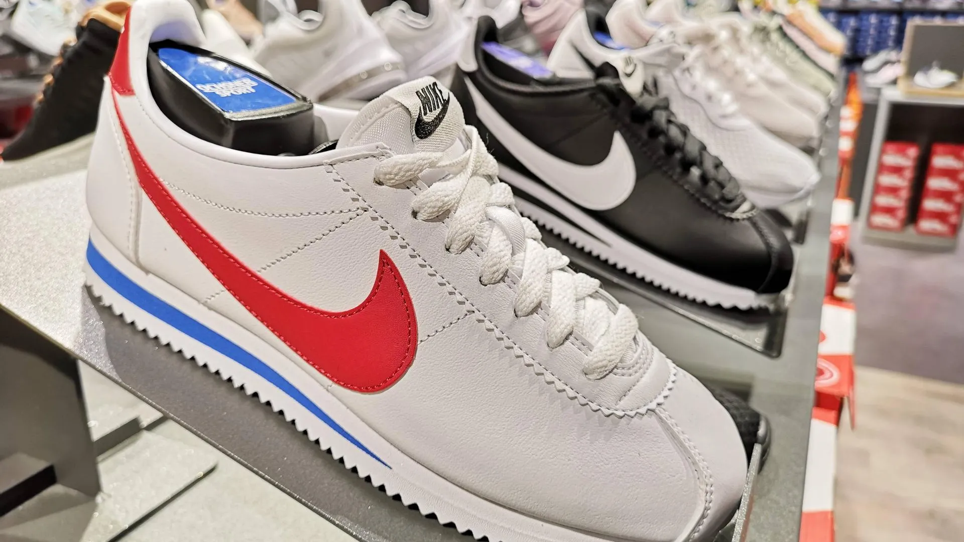 MANUEL GEISSER, via www.imago-im/www.imago-images.de