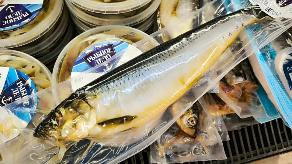 Фото: REGIONS/Роман Малышенко