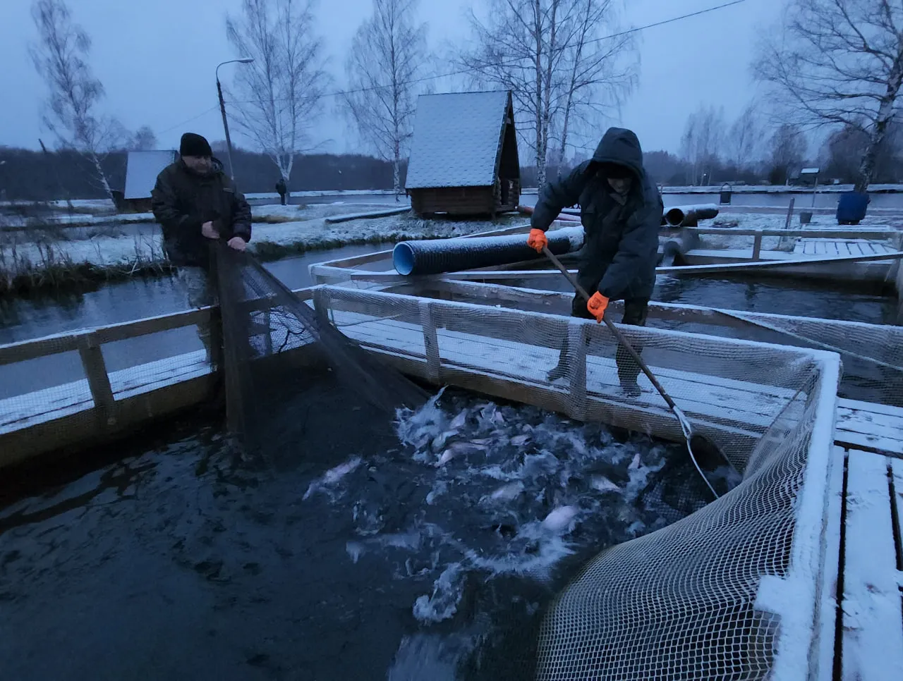 Фото: медиасток.рф