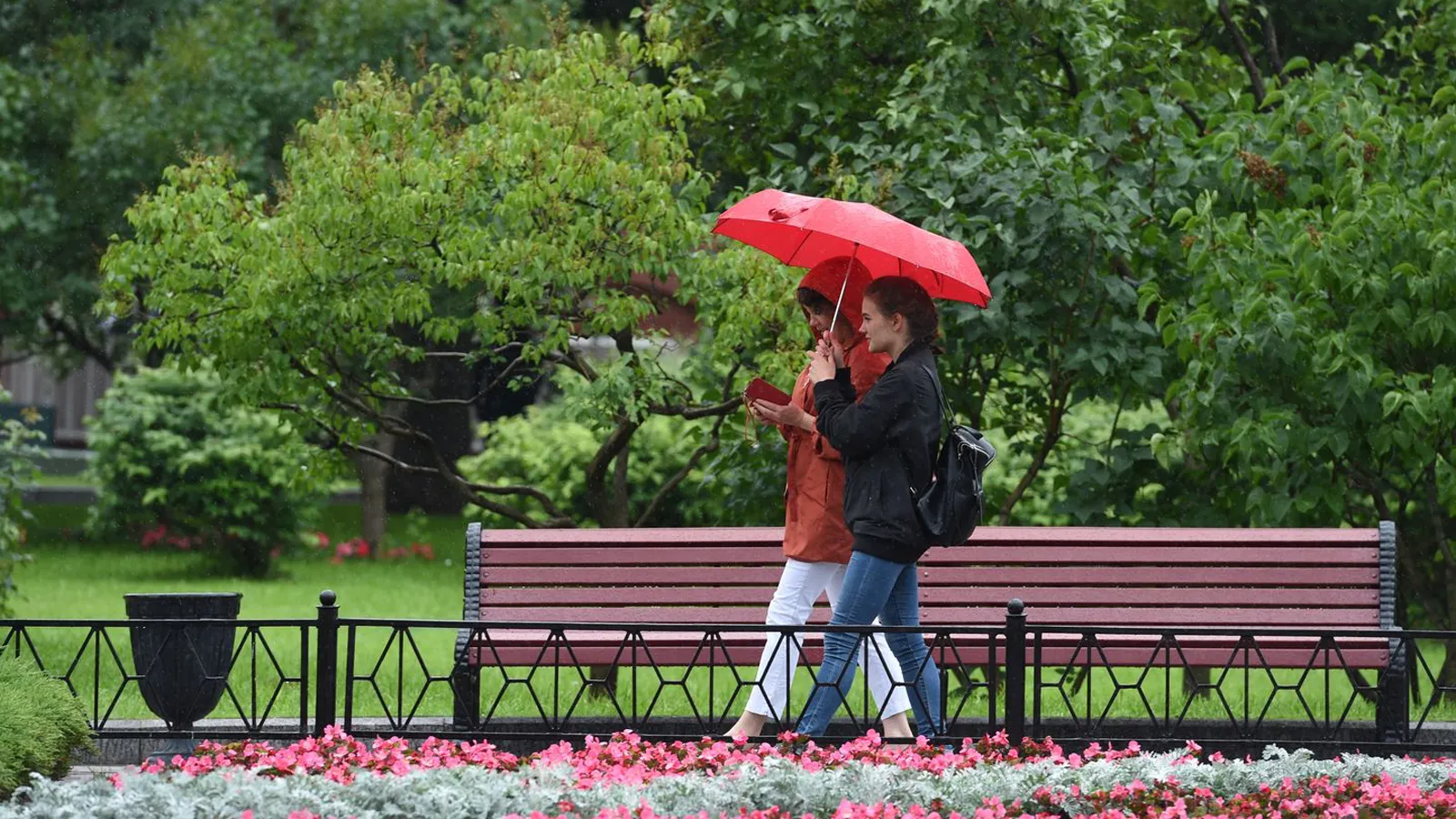 Фото: медиасток.рф