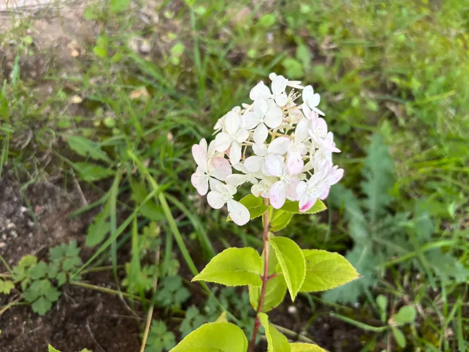 Фото: REGIONS/Анастасия Соловьева