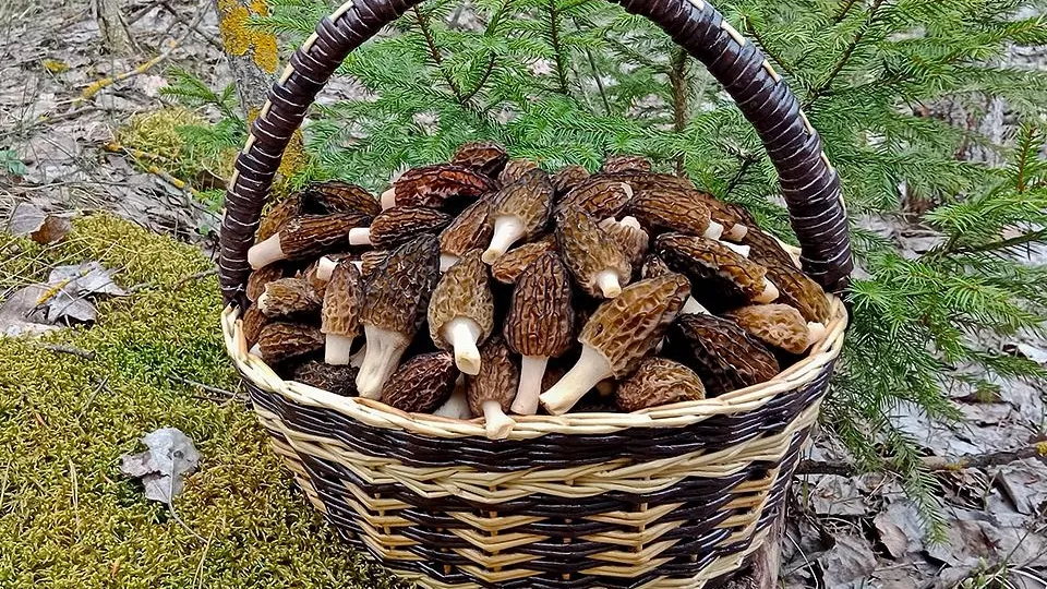 Фото: istockphoto.com