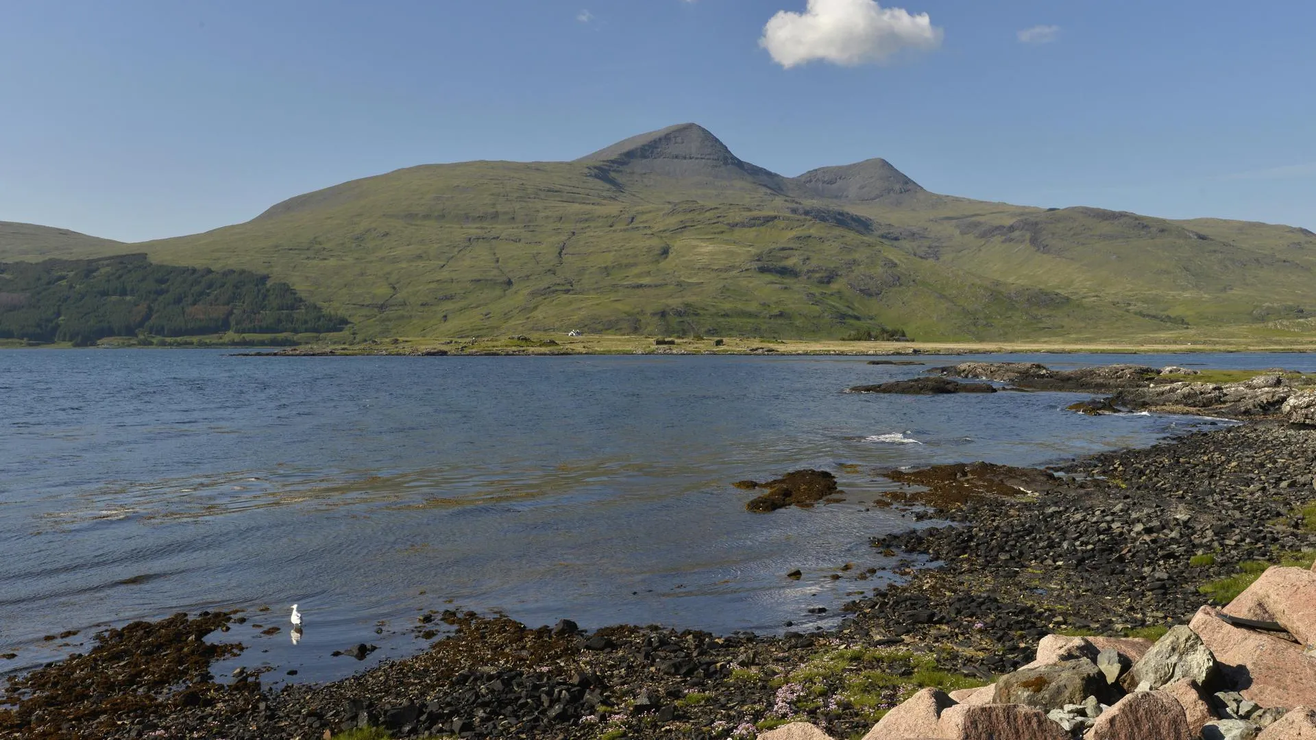 Olaf Schubert/imageBROKER.com/ Global Look Press