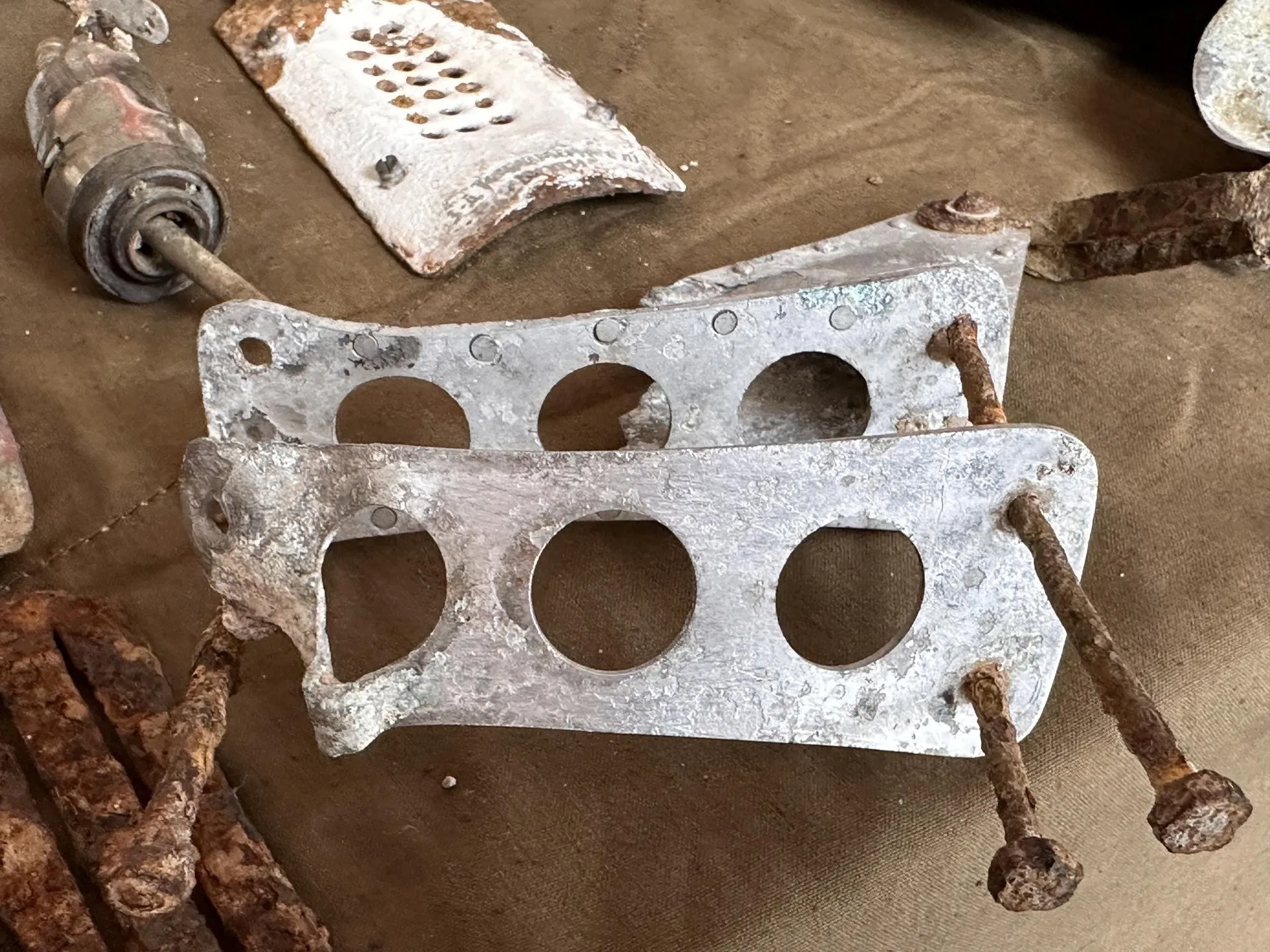 Фото: Мария Петрова