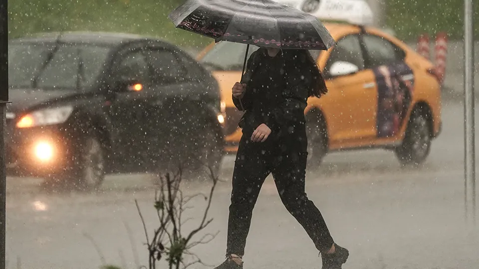 Фото: медиасток.рф