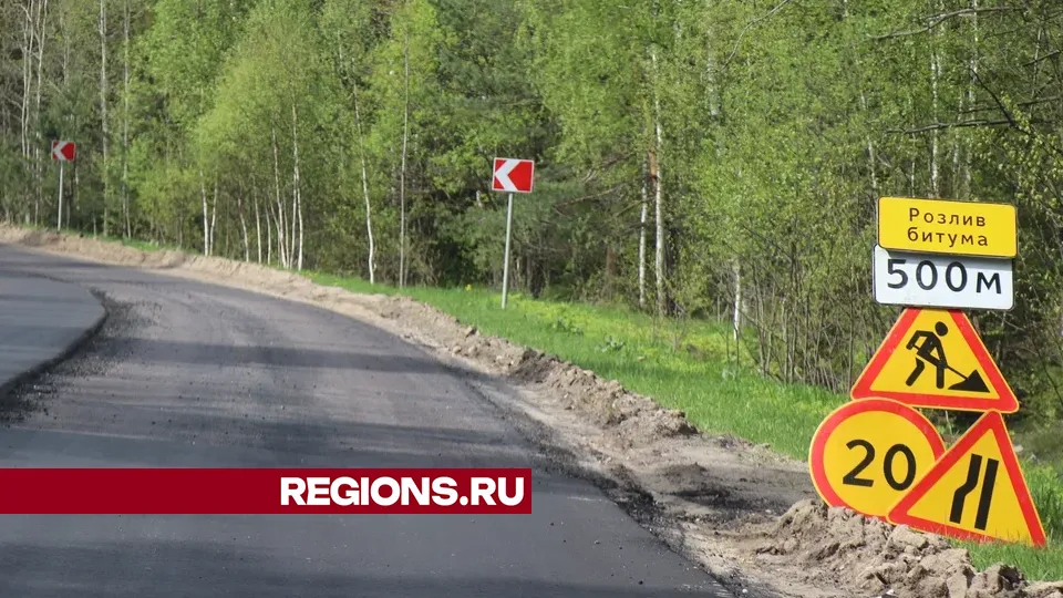 Фото: REGIONS/Василий Тремасов