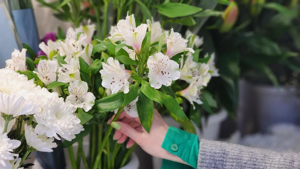 МедиаБанк Подмосковья/Екатерина Данилина