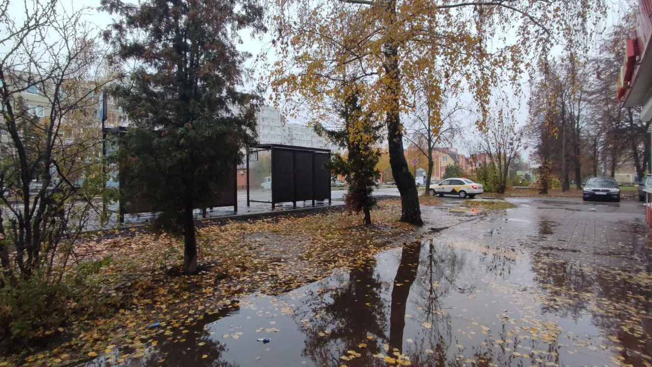 Фото: REGIONS/Елена Забелина