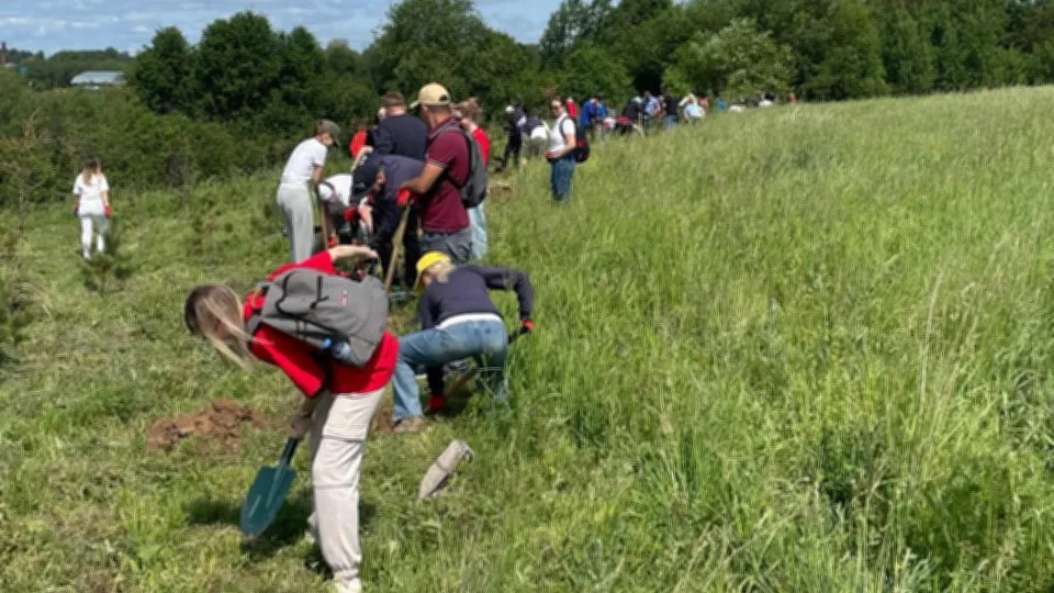 Фото: t.me/museumgol