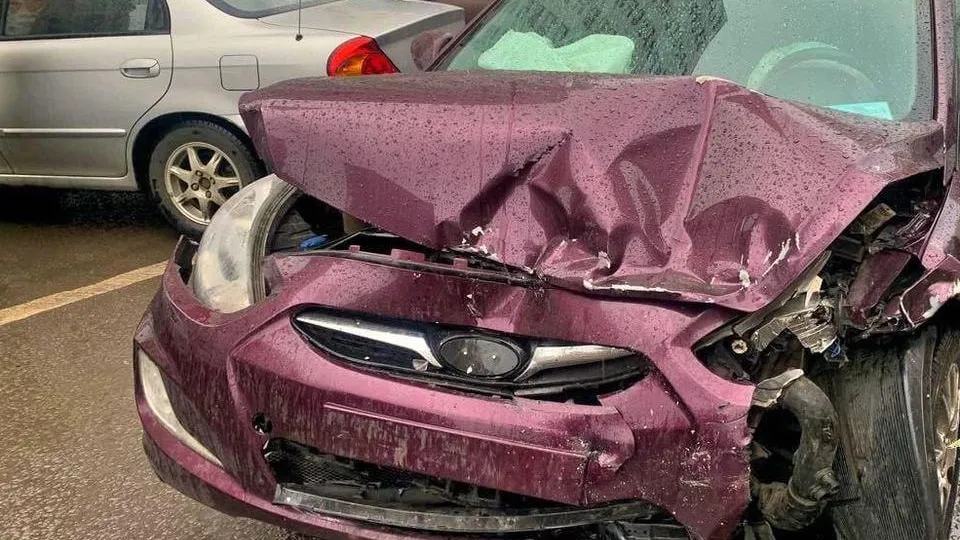 пресс-служба ГУ МВД России по Московской области