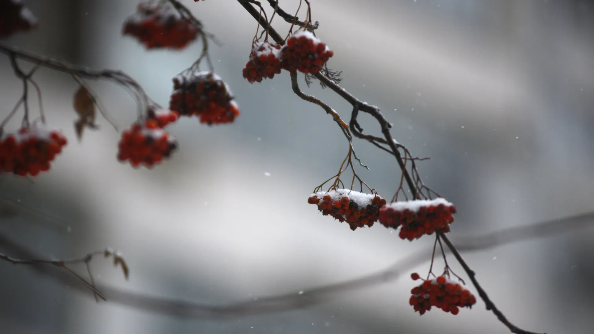 Снегопад в Троицке