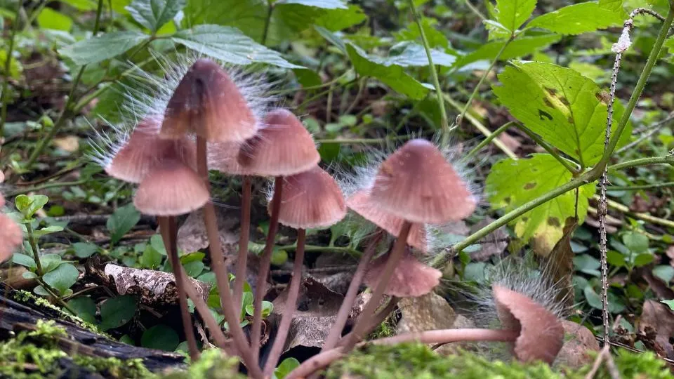 Фото: Анастасия Вознесенская