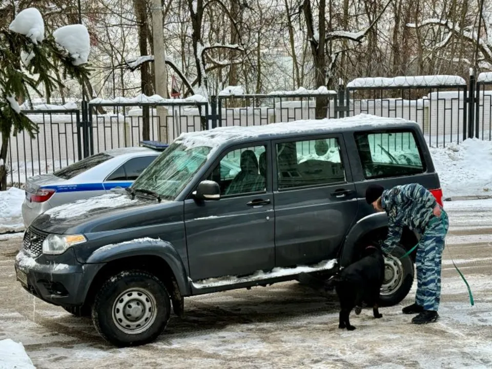 Фото: t.me/Krasnogorskiy_umvd