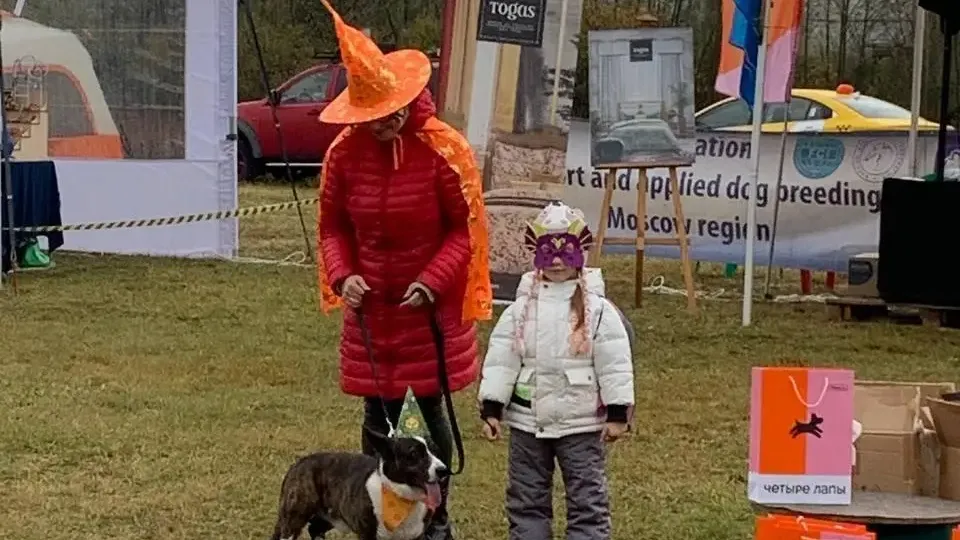 Министерство образования Московской области