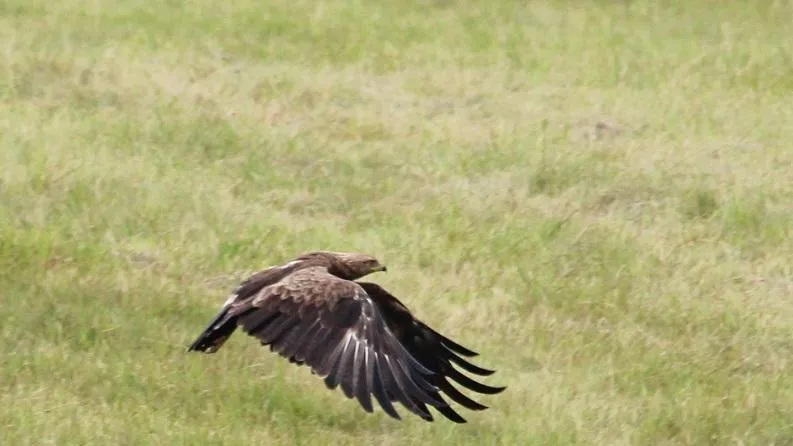 Фото Т. Юдиной