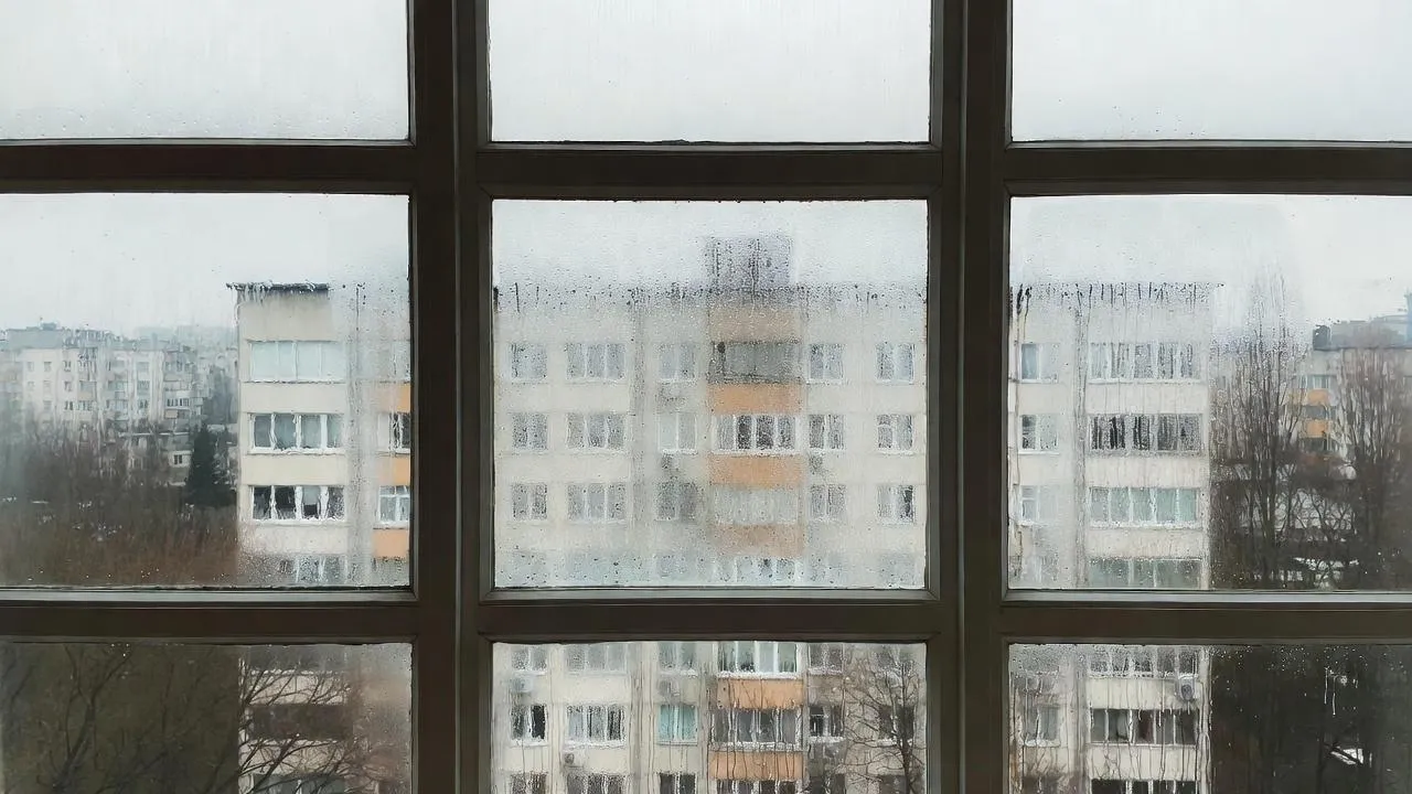 Окна «плачут» и плесень растет? Есть простое решение, чтобы раз и навсегда избавиться от этого
